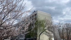 53 здания в Шебекино защитили антидроновыми сетками