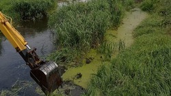Очистка русла реки Ворскла стартовала в Томаровке Яковлевского округа в рамках программы «Наши реки»