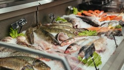 Объём рыбного производства в Белгородской области достиг более 11 тысяч тонн