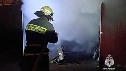 Возгорание произошло в неэксплуатируемом жилом доме в Дмитриевке