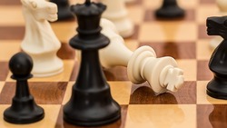Жители Яковлевского горокруга оказались лидерами турнира по шахматам среди пенсионеров