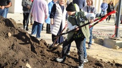Могучий дуб высадили в Белгородском районе на территории строящейся школы