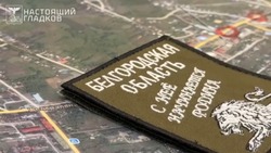 Вячеслав Гладков провёл заседание штаба в Краснояружском районе 