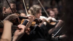 Власти поддержат проект по строительству зала для симфонического оркестра