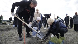 Вячеслав Гладков поучаствовал в высадке Нижнеольшанского бора