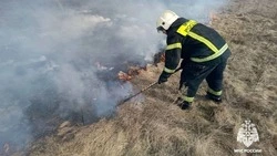 11 возгораний сухой травы и мусора зафиксировали в Белгородской области 
