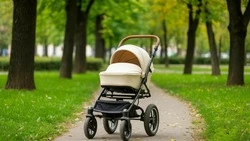 Почти 400 белгородских отцов получают пособия по уходу за ребёнком