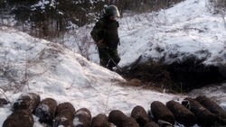 297 боеприпасов времён ВОВ обнаружили в старооскольском лесу 