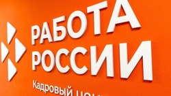 Почти 46 тысяч белгородцев трудоустроили службы занятости населения в 2024 году