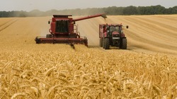 Экспорт сельхозпродукции из РФ вырос на 18%