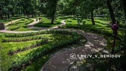 Девять тысяч многолетников высадят в Центральном парке Белгорода