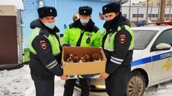 Белгородские полицейские спасли брошенных на холоде щенков в районе поворота на Терновку