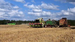 Около 600 белгородцев примут участие в сельскохозяйственной микропереписи в регионе