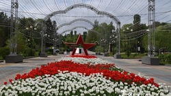 Акция «ПоЧитая Победу» пройдёт в Белгородской области