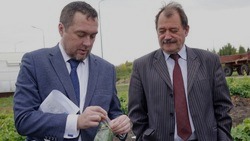 Курчатовский геномный центр создаст паспорта для коллекции винограда Белгородского госуниверситета
