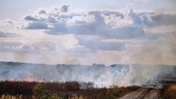 Поджёгшие 1,34 га в хуторе Новые Лозы яковлевцы заплатят штраф в размере 30 тыс. рублей