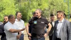 Вячеслав Гладков провёл выездное совещание в благоустраиваемом урочище «Сосновка»
