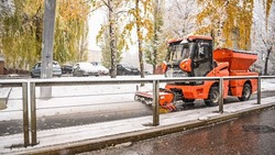 Вячеслав Гладков напомнил о возможности наблюдать за уборкой снега онлайн