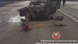 Водители двух столкнувшихся автомобилей погибли на трассе в Яковлевском округе