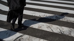 Почти 13 тысяч белгородских водителей не пропустили пешеходов с начала 2023 года 