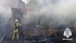Вагончик и сарай сгорели в Яковлевском округе 