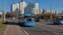 Расписание общественного транспорта в Белгородской агломерации изменится в праздничные дни