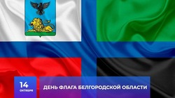 Олег Медведев поздравил яковлевцев с Днём флага Белгородской области