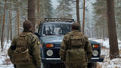Белгородские лесники усилили патрулирование хвойных молодняков