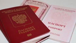 Власти РФ заморозили проект цифровых паспортов