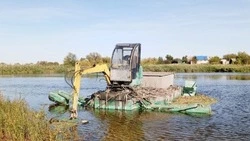 Вячеслав Гладков сообщил об очистке 22 белгородских водоёмов
