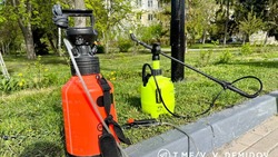 Акарицидную обработку общественных пространств проведут в Белгороде