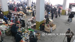60 местных производителей привезли свою продукцию на ярмарку в Белгороде 