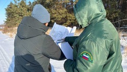 Вячеслав Гладков сообщил об опашке в регионе 2 тысяч га вокруг лесных массивов 