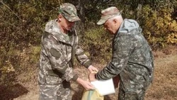 Белгородские лесники собрали 7,5 тонны семян дуба черешчатого