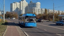 Бесплатные автобусы запустят на Красную горку к городским кладбищам в Белгороде
