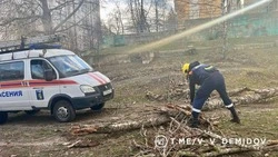 Материал