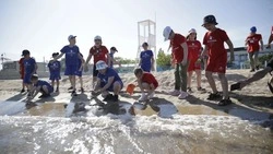 220 обращений от белгородцев поступило на горячую линию Роспотребнадзора по детскому отдыху 
