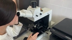 Белгородские учёные разработали биоразлагаемый аналог пластика с коротким жизненным циклом