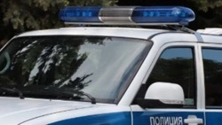 Полиция нашла устроивших в Белгороде фотосессию на крыше укрытия школьниц 