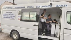 Материал