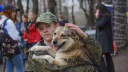 Выставка-раздача бездомных собак пройдёт в Белгороде 12 апреля