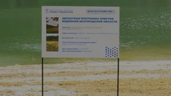 Общественники выбрали водные объекты для очистки в Яковлевском округе в 2024-2025 годах