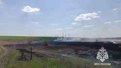 Белгородские пожарные выезжали шесть раз за сутки для тушения ландшафтных пожаров 