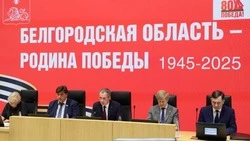 Вячеслав Гладков рассказал о выделении 1 млрд рублей на детский отдых