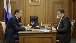 Вячеслав Гладков и Андрей Милёхин обсудили обеспечение безопасности белгородских детей
