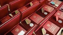 Бойцы «БАРС-Белгород», врачи, педагоги и коммунальщики получили госнаграды 
