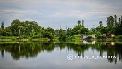 Более 4 тысяч растений высадят в Белгороде на правом берегу центрального пляжа