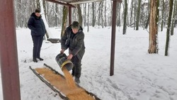 Двумя тоннами кукурузы пополнили подкормочные площадки для диких животных в Яковлевском округе