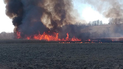 Яковлевцы решили пожарить шашлыки и подожгли 1 гектар земли с сухой травой и камышами