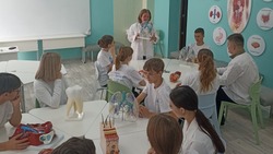 Более 1750 белгородских школьников учатся в медицинских классах